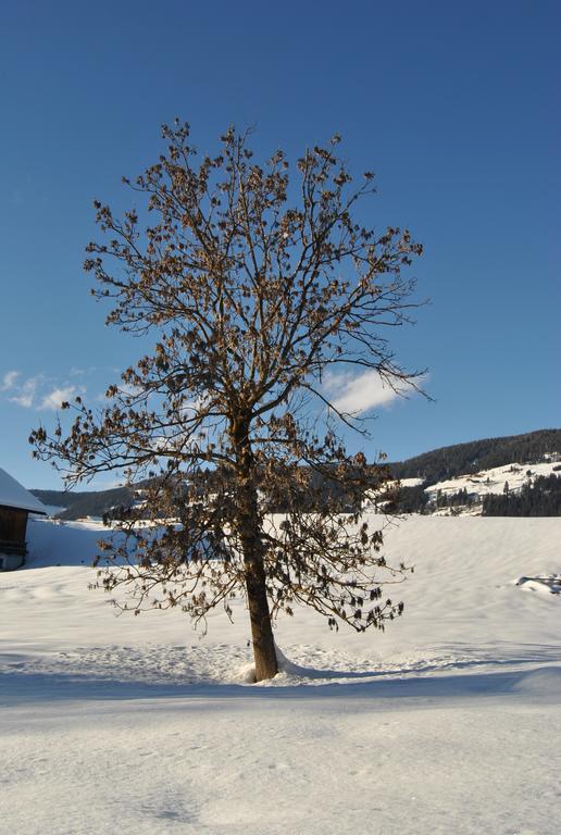 Trogerhof Dobbiaco Exterior foto